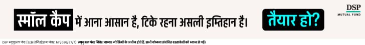 DSP Mutual Fund