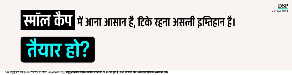 DSP Mutual Fund