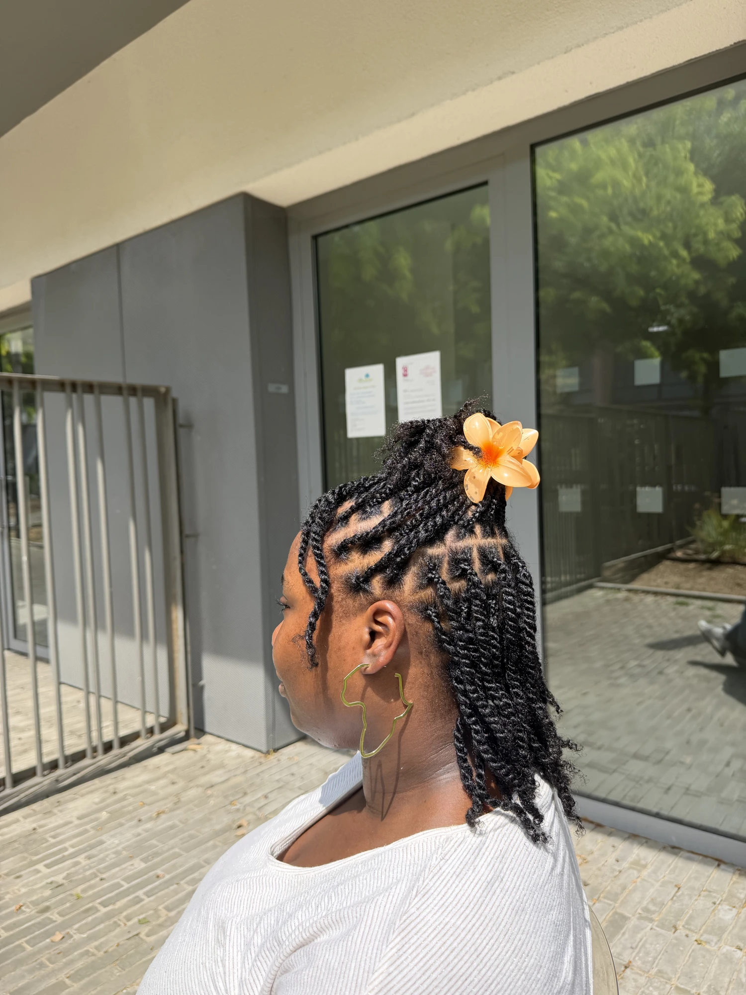 Vanilles / Twists