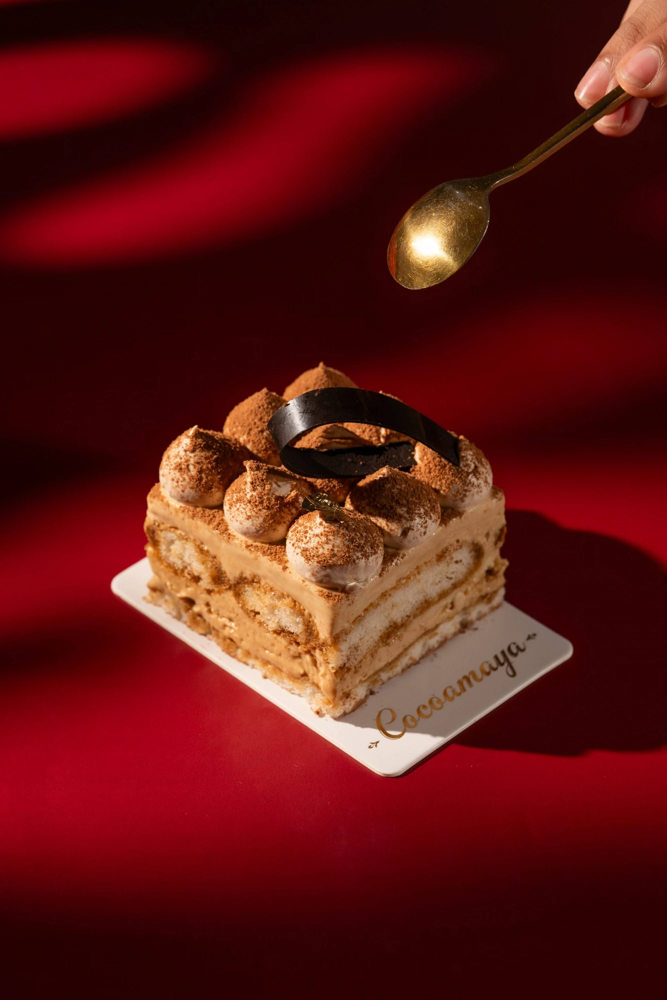 Tiramisu Cake