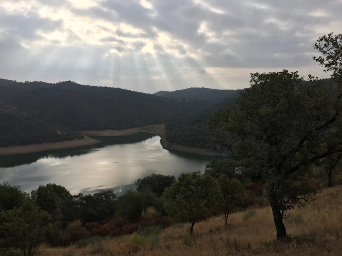 Finca La Picota