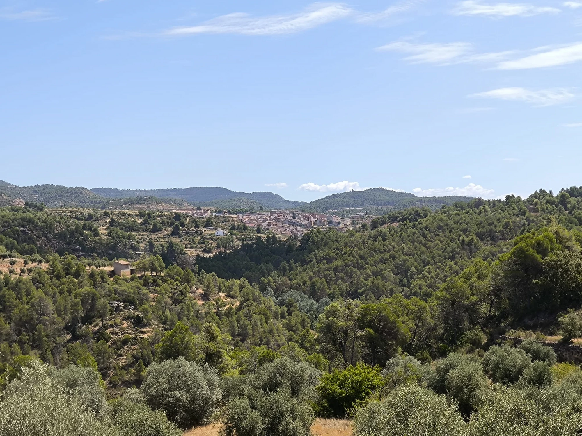 Obach Rural 9