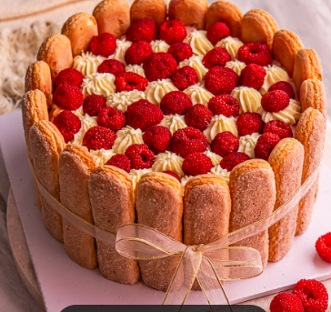 Charlotte cake