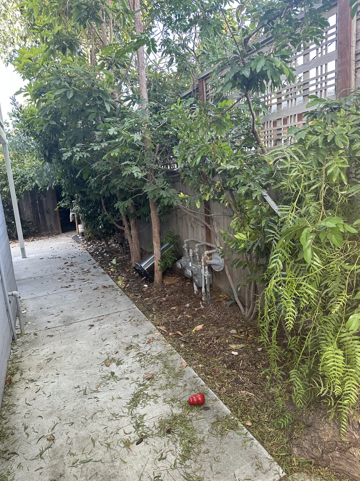 After junk removal — clean cleared courtyard, all furniture and junk hauled away by Daygo