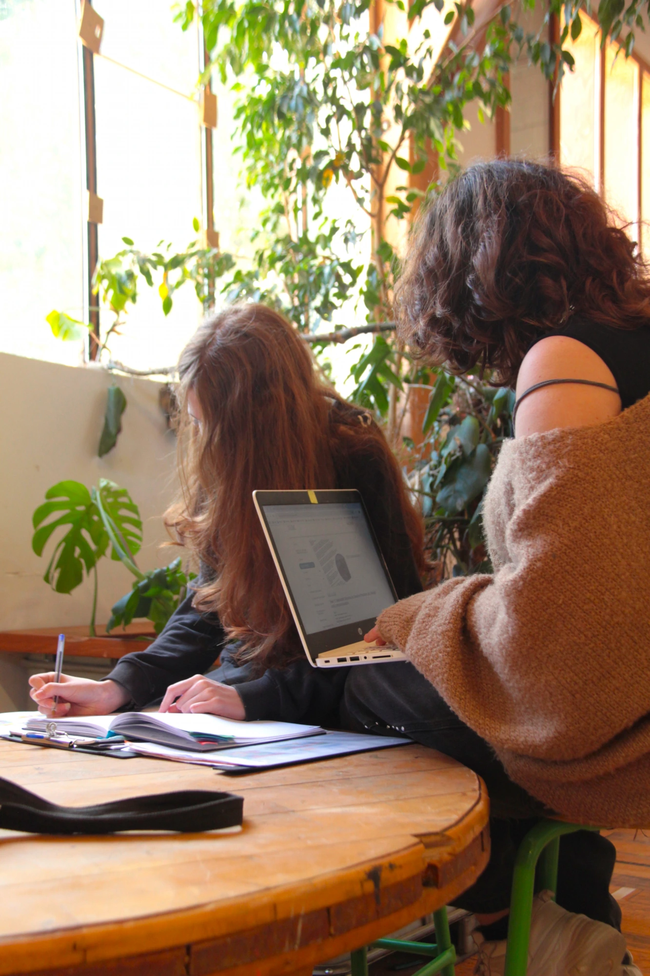 École Pleine Nature — travail collaboratif