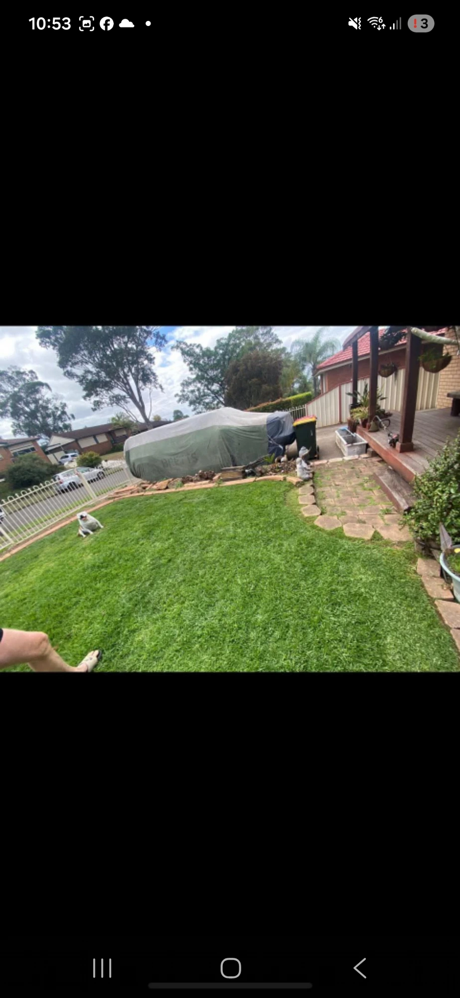 Backyard & Lawn Tidy-Up