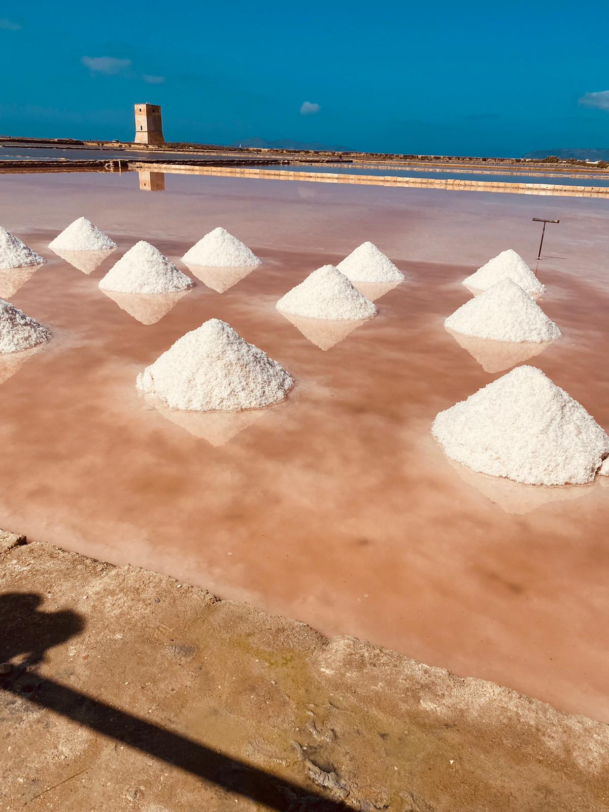 Panoramica delle saline con torre di Nubia