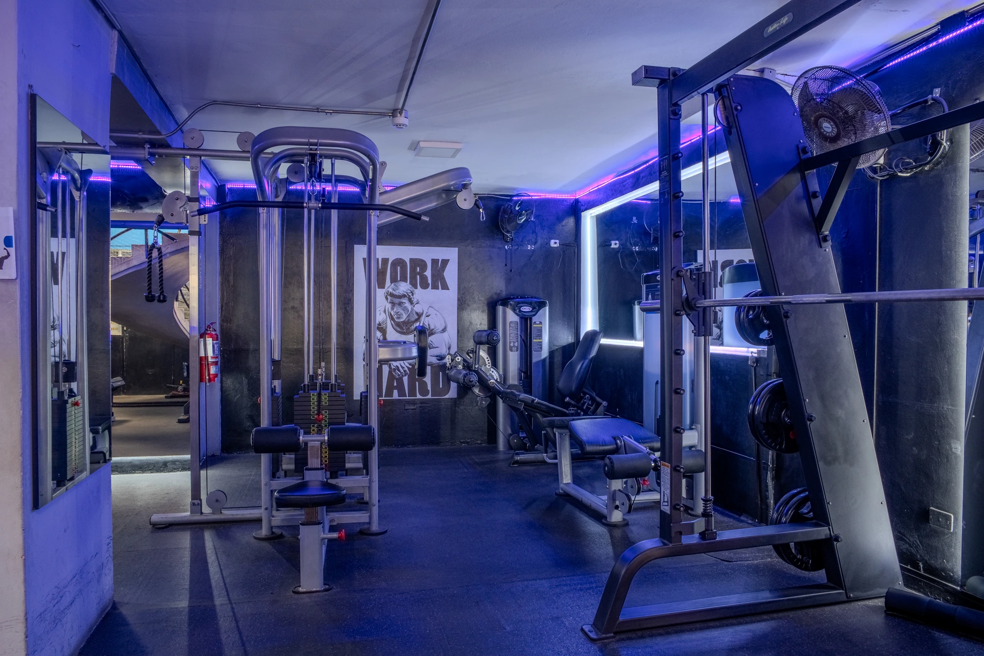 Equipamiento NEX Level Fitness 1