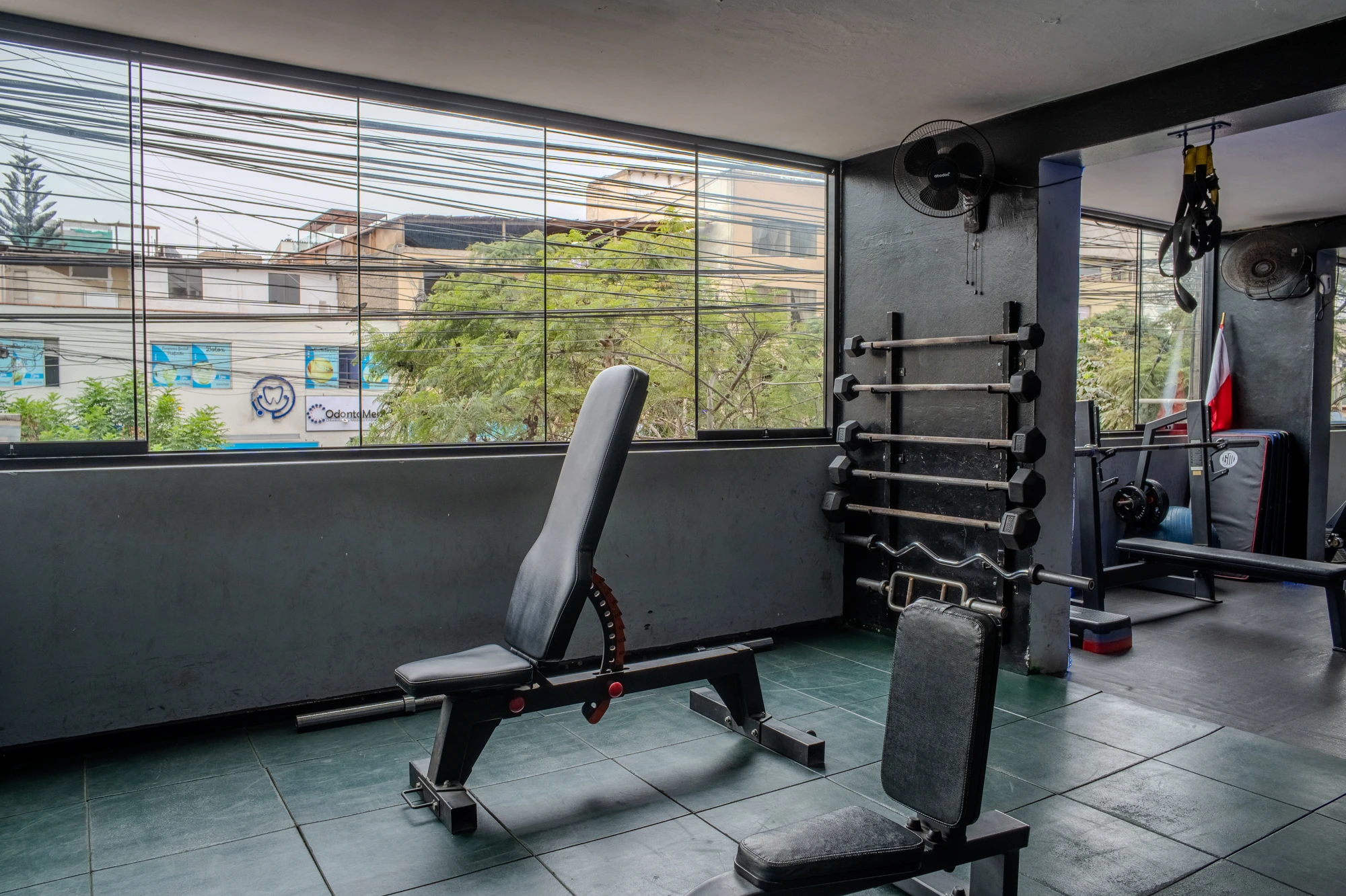 Equipamiento NEX Level Fitness 3