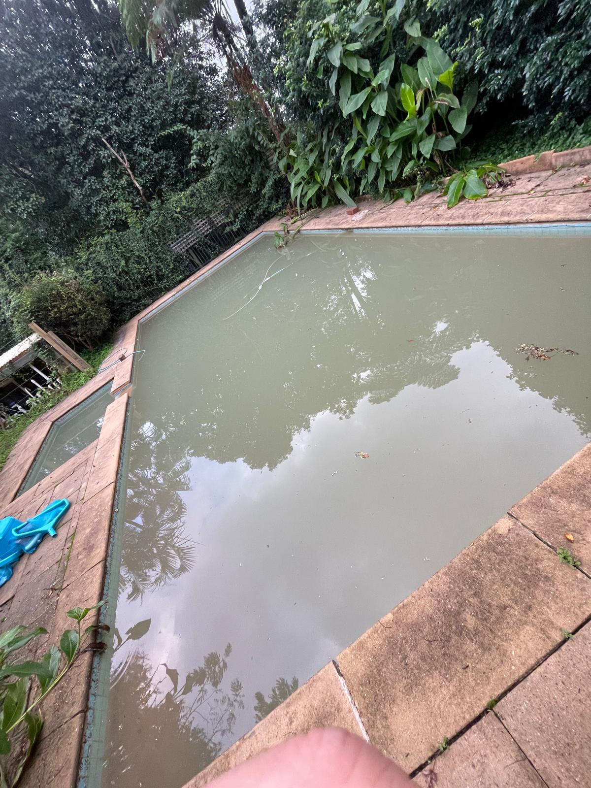 A green algae-affected swimming pool in Melbourne before professional green pool recovery treatment