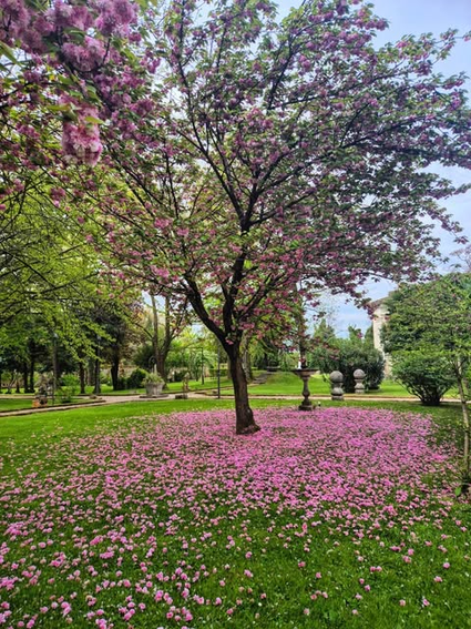 Il parco storico 7
