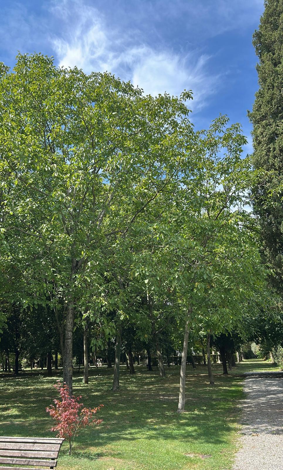 Il parco storico 15
