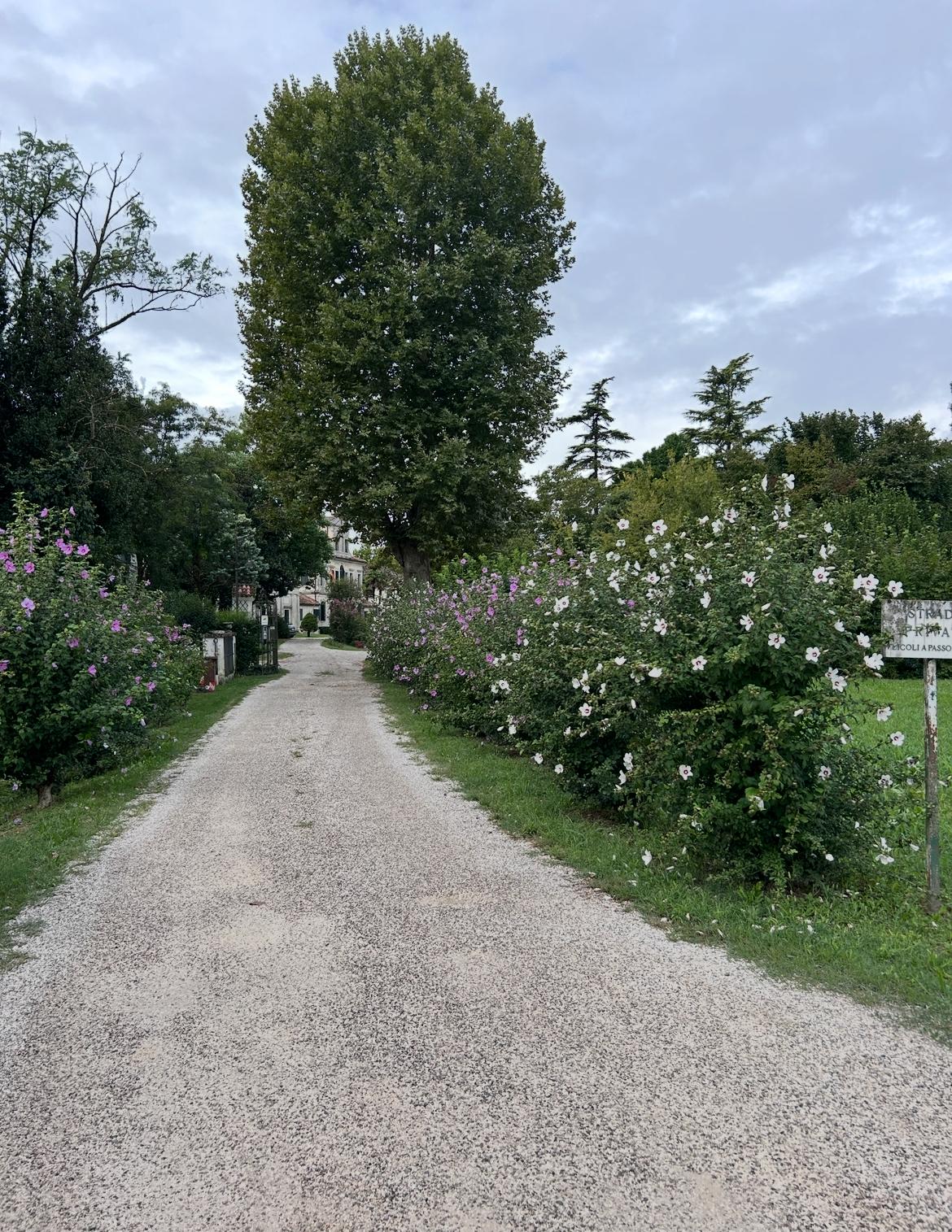 Il parco storico 13