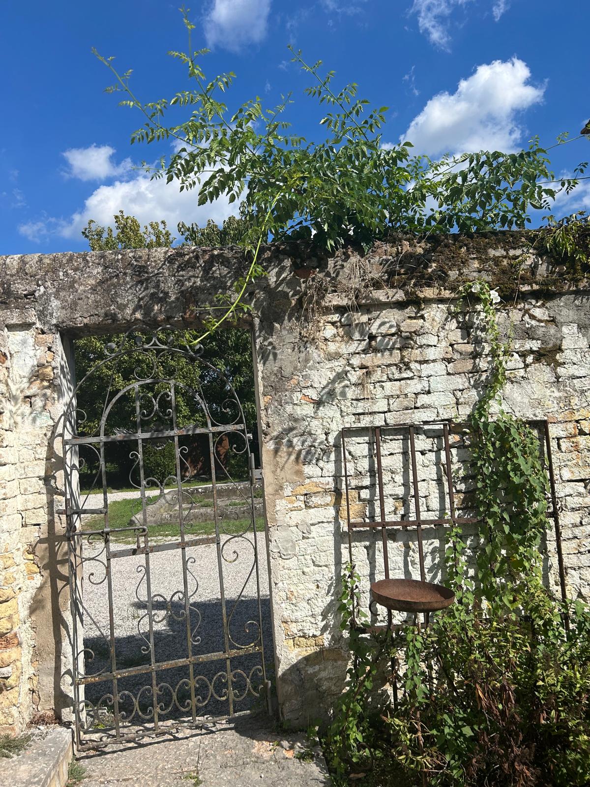 Ca' Degli Stefani C 14